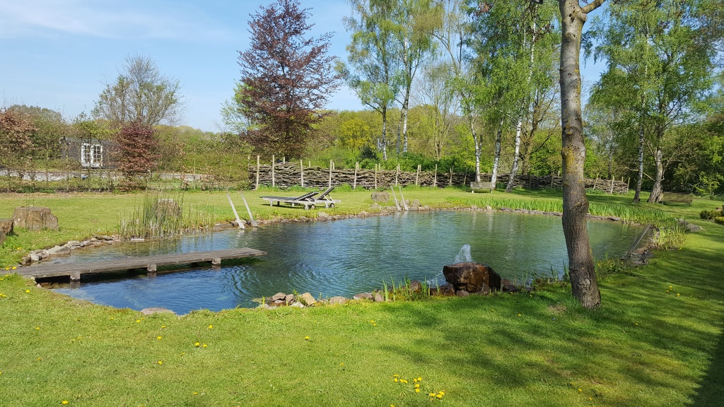 Zwemvijver